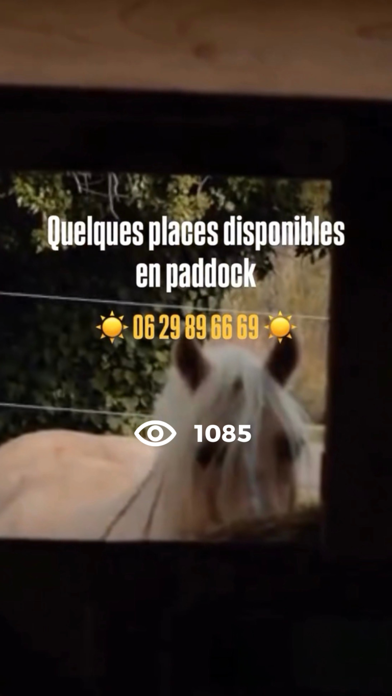 les ecuries lattoises promo