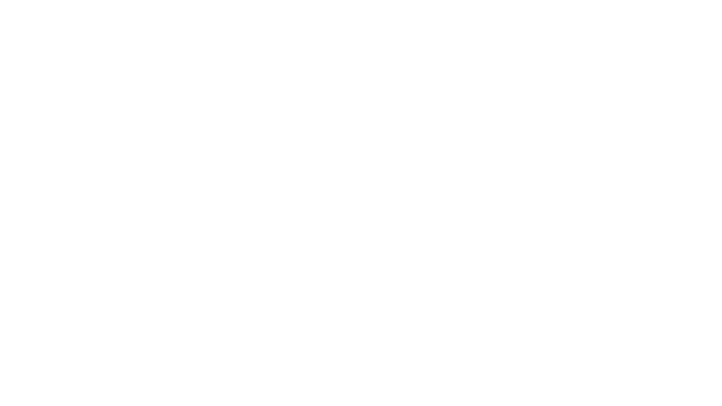 logo novaseo blanc